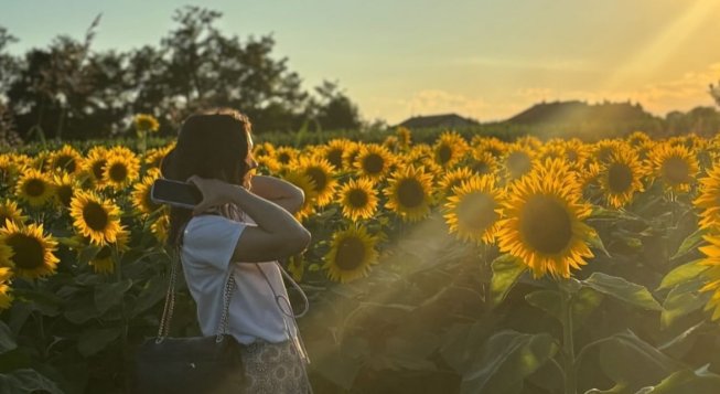 Aperitivo tra i girasoli 🌻🌻🌻
