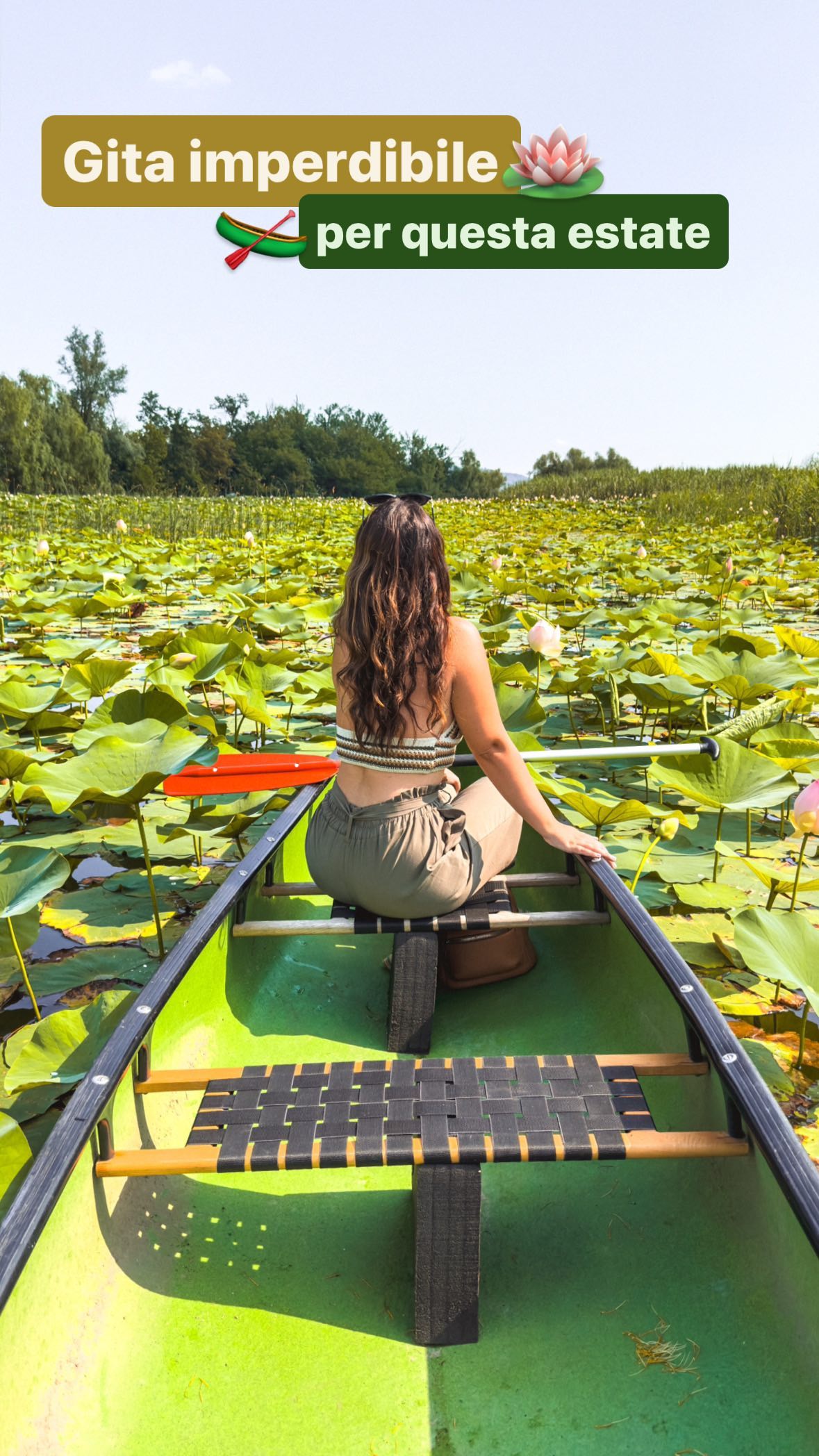 Gita in canoa tra i fiori di loto