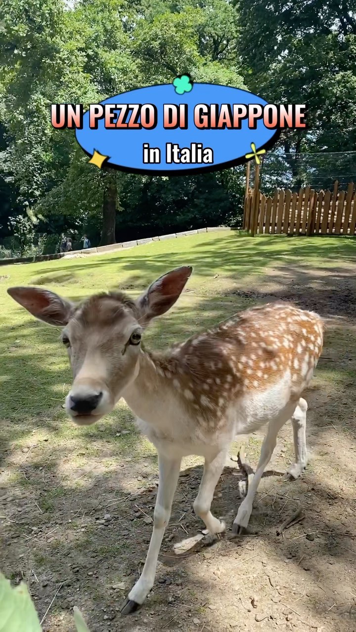 Bio Parco Pallavicino