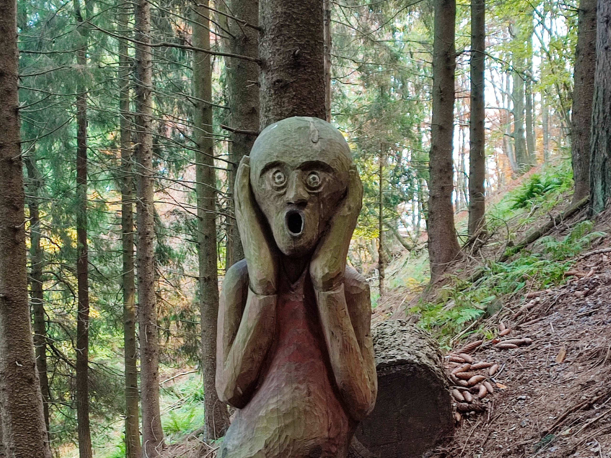 Il sentiero delle espressioni